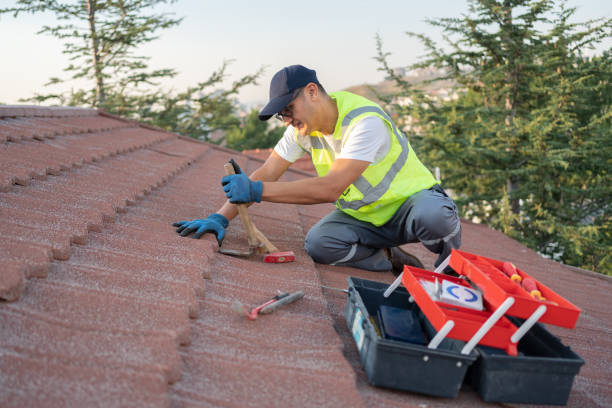 Best Storm Damage Roof Repair  in Temple, PA